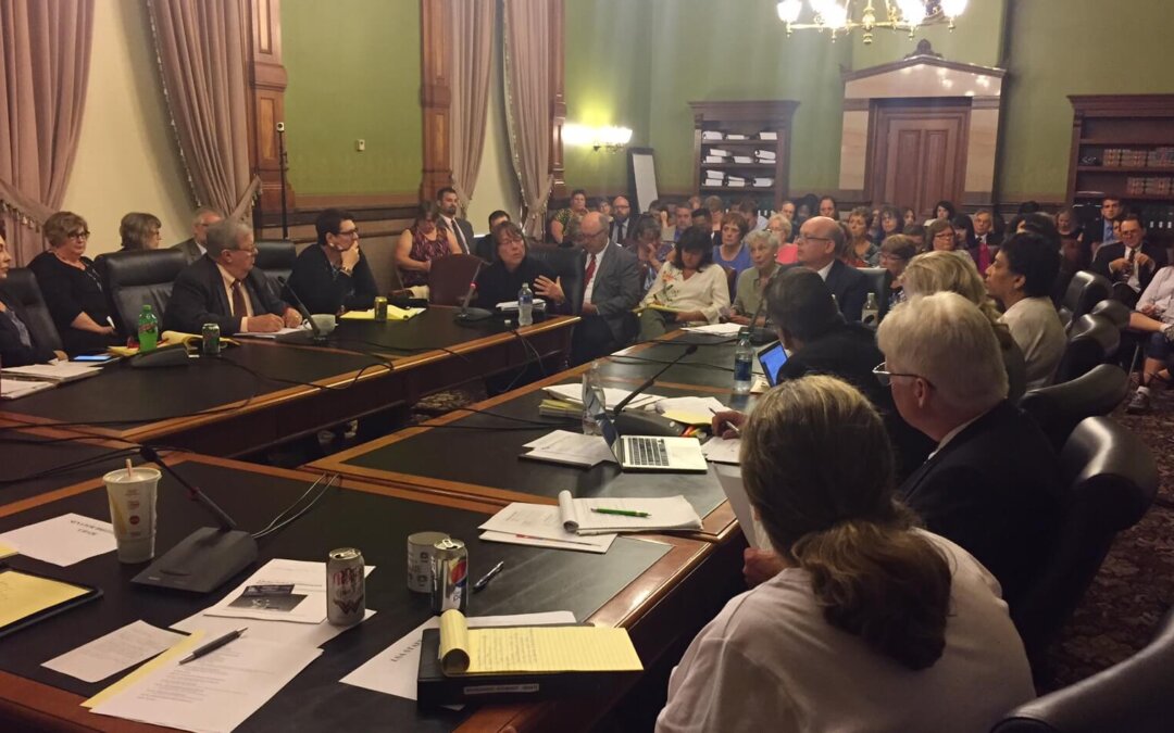 Democrats Roll Out Plan To Protect Children’s Safety In Iowa