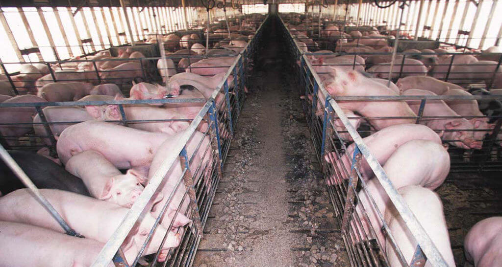 Free Speech Is Sometimes Uncomfortable