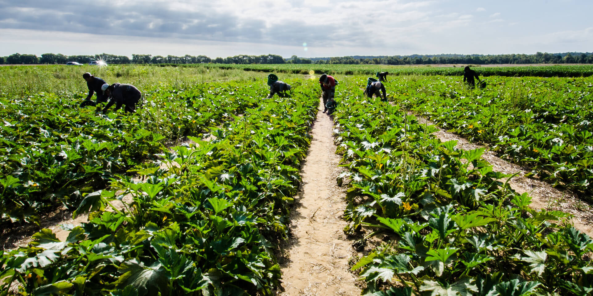 Republicans Bash Immigrants, But Can’t Survive Without Them Republicans Bash Immigrants, But Can’t Survive Without Them