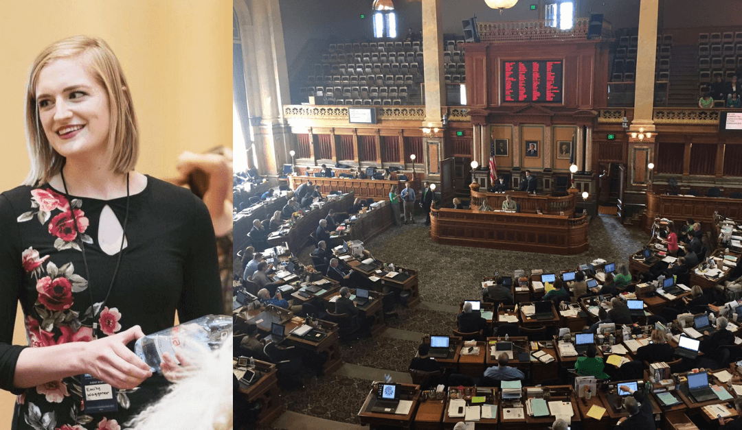 House Democrats Hire New Director To Retake Chamber