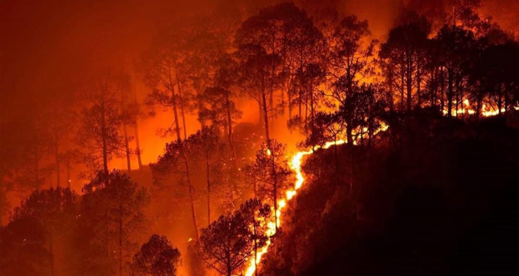 The World Is Ablaze With Climate Warnings