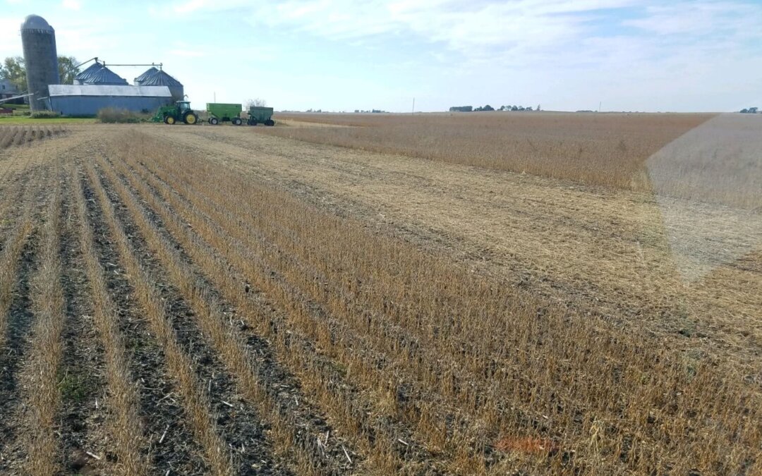 A Year Of Frustration For Iowa Farmers On Biofuels