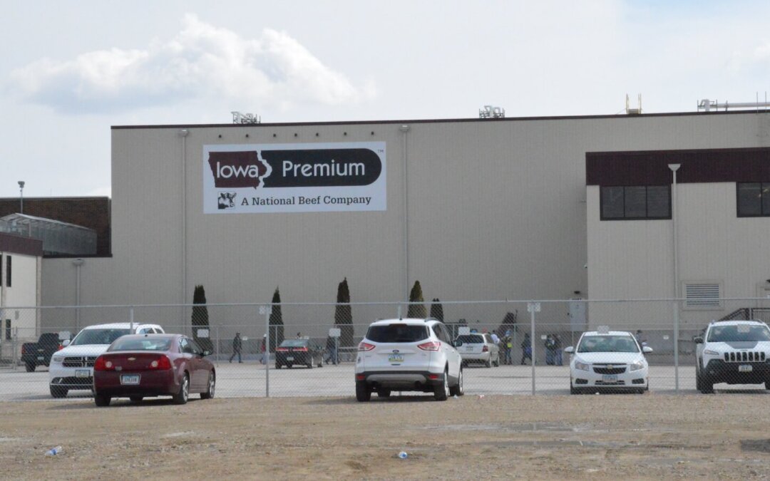 Reynolds Insists Packing Plants Are Protecting Workers