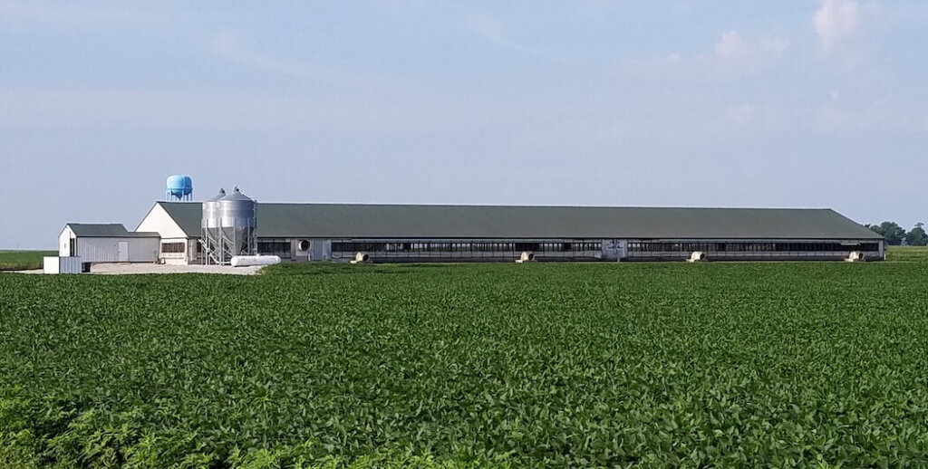 Guest Post - Iowa Starting Line