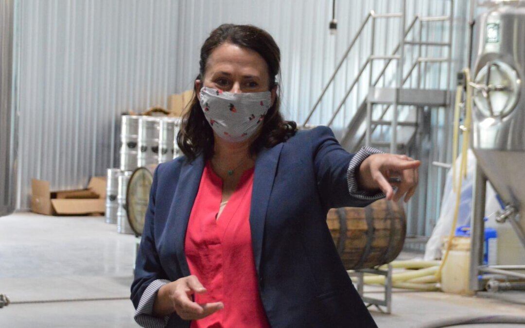 IA-Sen: New Poll Puts Greenfield Up 12 Points Over Ernst