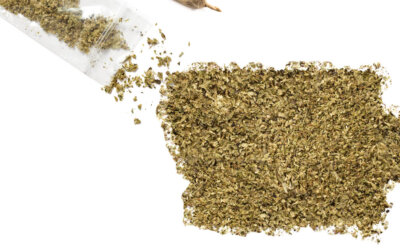 GOP Quickly Shoots Down Senate Dems Legal Marijuana Proposal