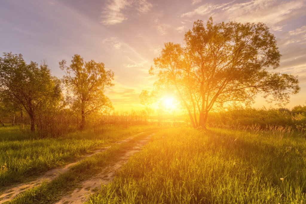 Ty Rushing - Iowa Starting Line