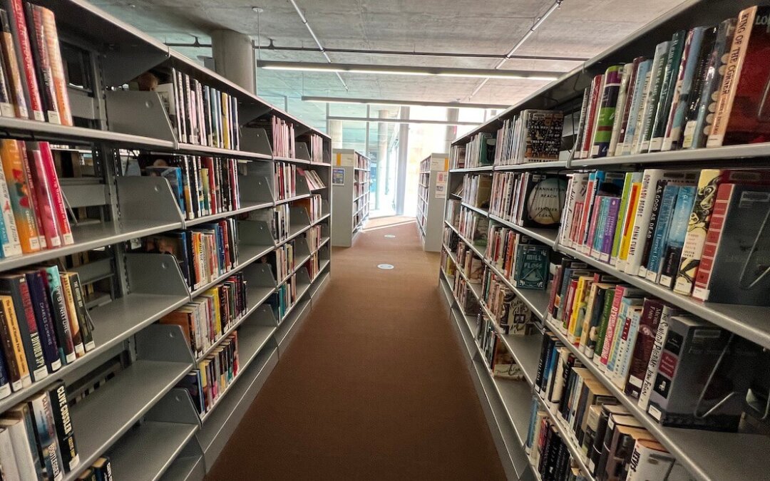 New Bill Would let City Councils Overrule Local Library, Limit Access to Books