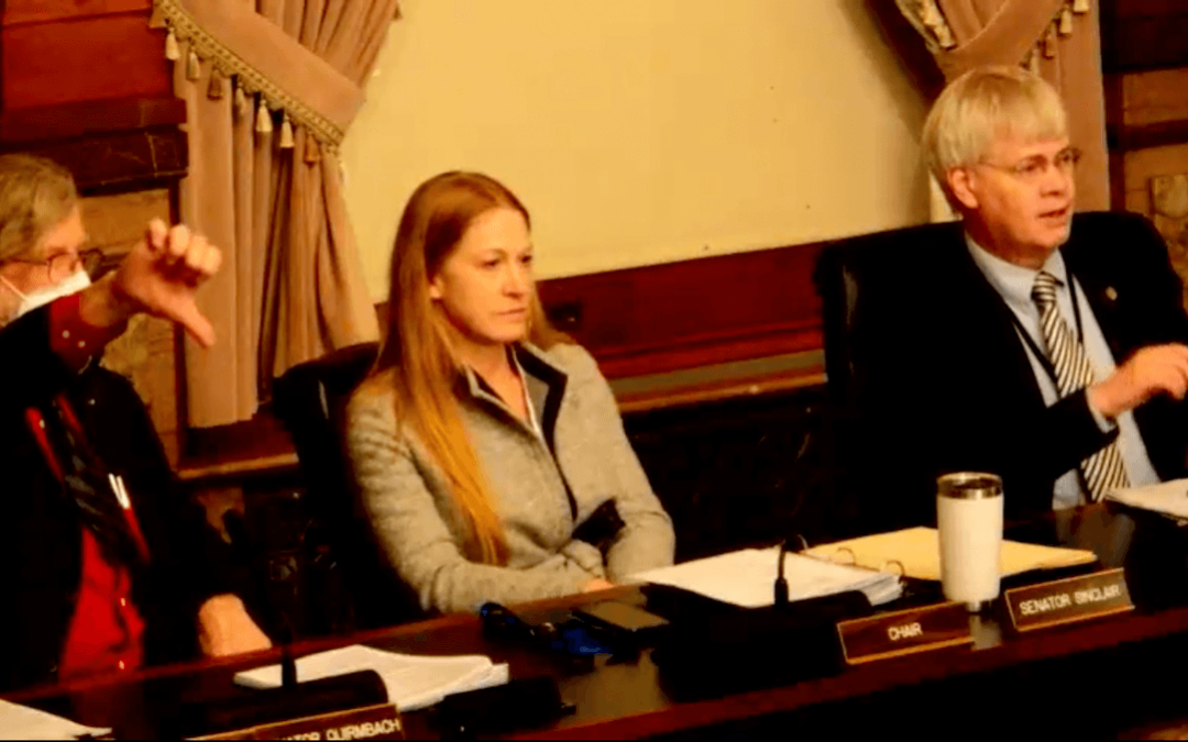 Senate GOP Advances Bill to Divert Public Funds to Private Schools