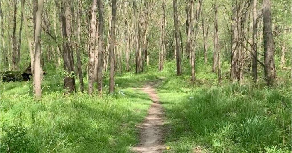 Amie Takes A Hike: George Wyth State Park Is An Accessible, Easy Hike