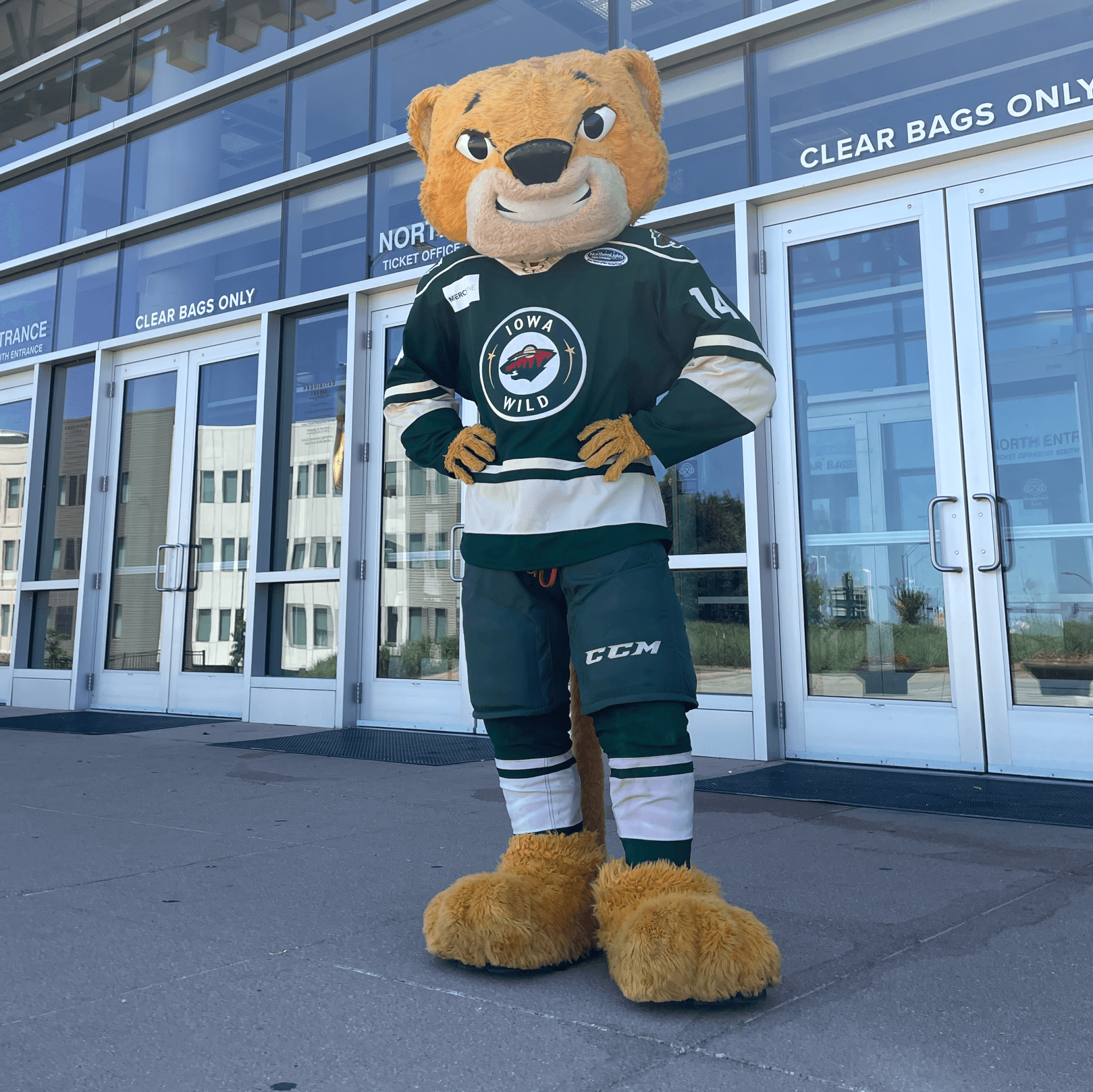 9 Iowa hockey teams to check out