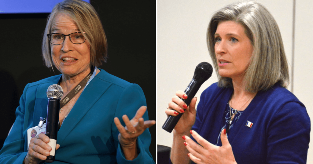 GOP County Parties Censure Ernst, Call For Miller-Meeks Primary Over Gay Marriage Vote