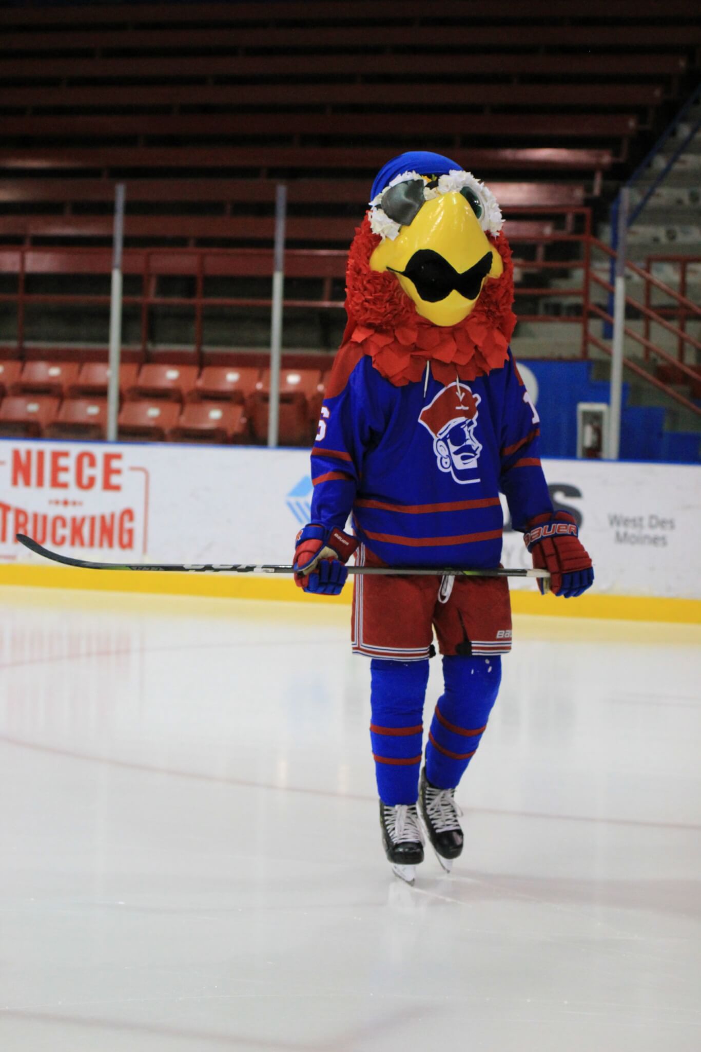 9 Iowa hockey teams to check out