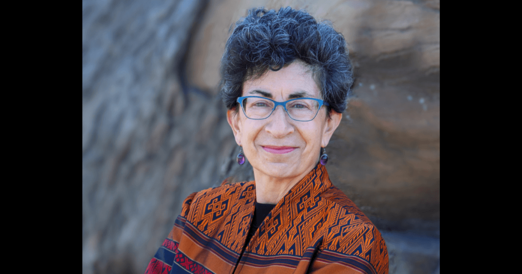 New Legislators: Janice Weiner Moves From Foreign Service To Statehouse