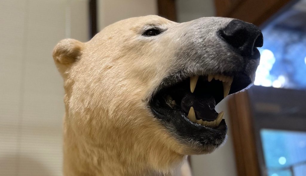 Guest Post: Despite New Iowa Laws, We Support LGBTQ Students In Sioux City