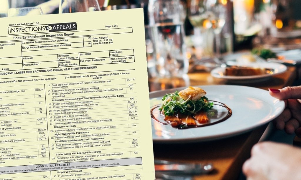 Restaurant inspection update: Dogs in the building, moldy food and rodent droppings