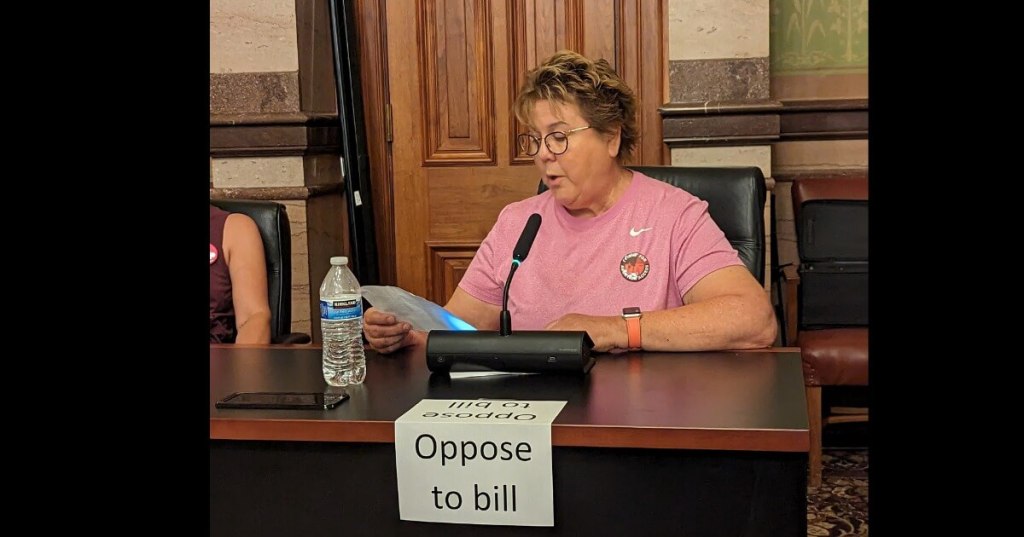 Decorah Woman Shares Abortion Story To Sway GOP Lawmakers