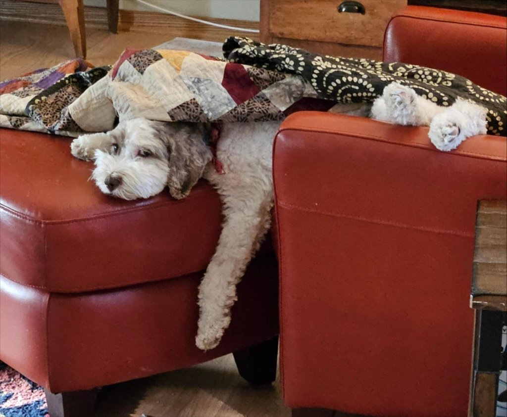 Positively Iowa: Brock Purdy’s Touchdowns Are Money (For a Cure)