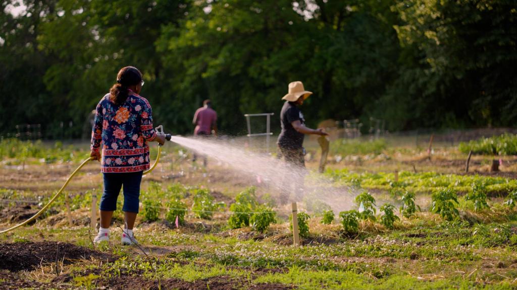 Positively Iowa: How This Small Iowa Team Became a Dynasty