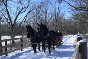 12 Iowa winter bucket list items to try before the snow melts