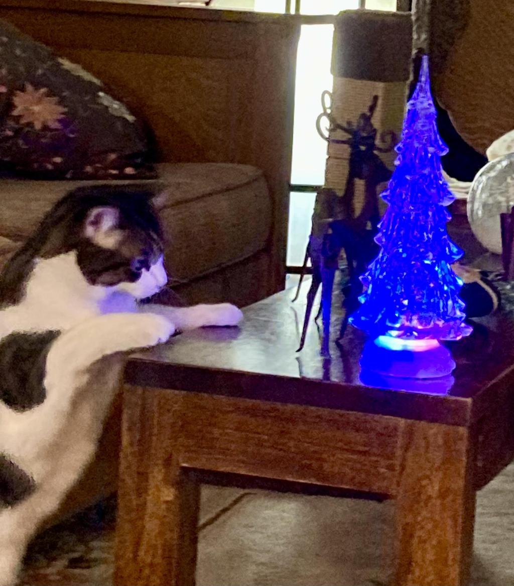 Positively Iowa: Granting Miracles for 25 Years