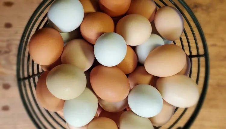 Where To Buy Farm-Fresh Eggs In Eastern Iowa