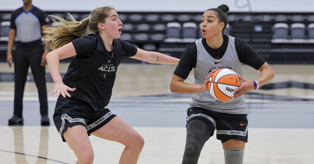 4 reasons why the WNBA should expand to Iowa