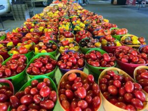 Harvest Bounty: Exploring The 10 Best Farmers Markets In Iowa
