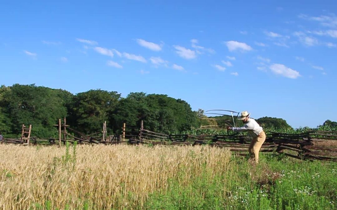 Have the best summer at these top 5 Iowa summer camps for kids