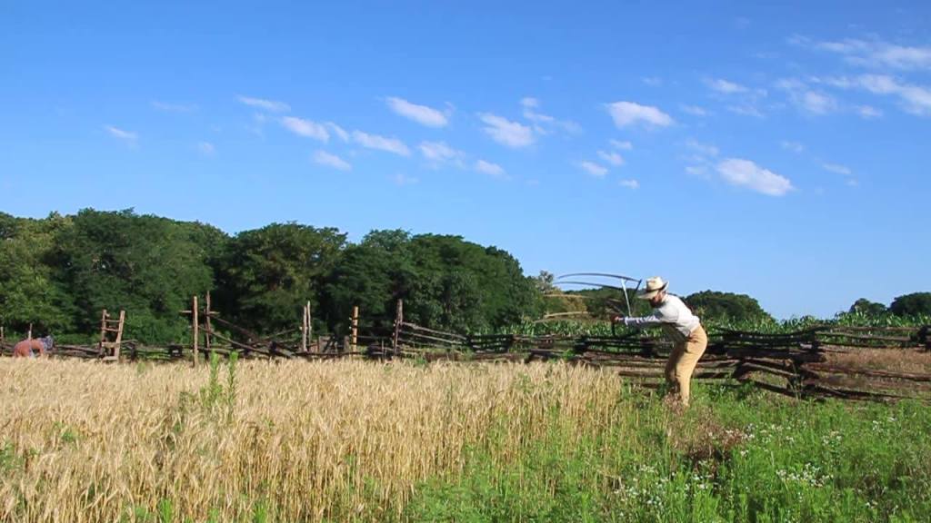 Have the best summer at these top 5 Iowa summer camps for kids
