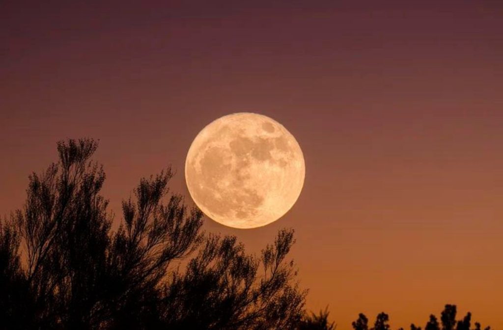 A full moon in the sky.