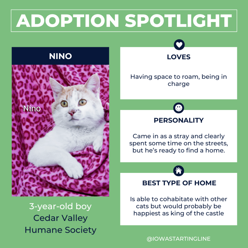 🪿 Iowan Wants to Keep Emotional Support Goose