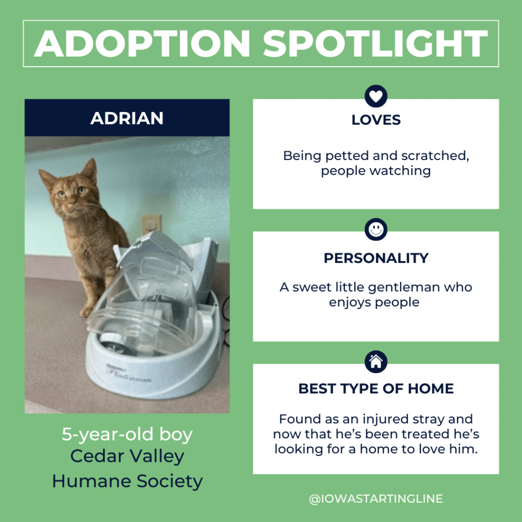 🌞 Baseball, the Best Ice Cream, and Your Guide to the State Fair