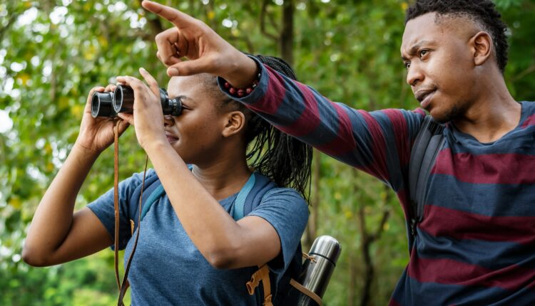 Fall bird migrations in Iowa: What to know