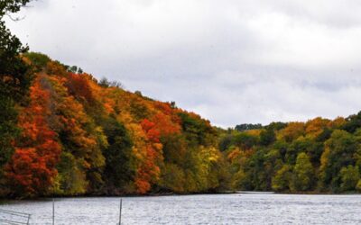 Iowa’s 10 most Instagram-worthy state parks