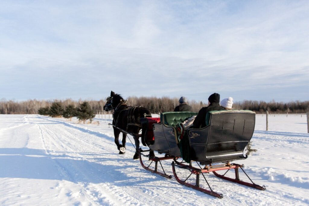 Horse Drawn Carriage Pulls Couple on a Romantic Sleigh Ride in the Winter Snow during Date Night.