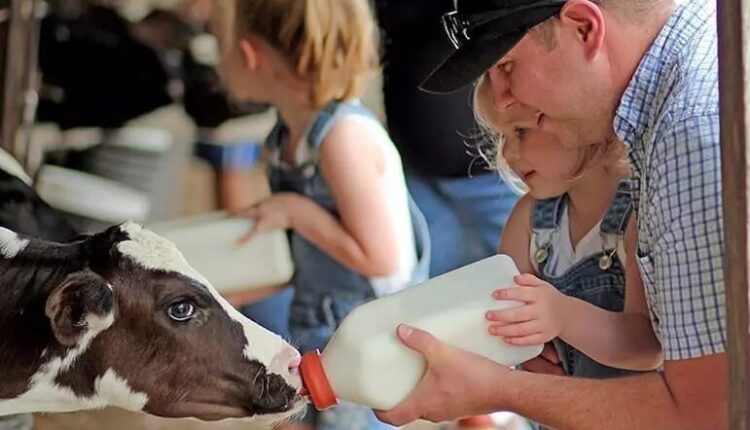 Informative AND fun factory tours in Iowa