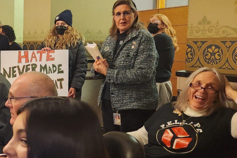 Sen. Sandy Salmon at the subcommittee to potentially expose drag performances to obscentiy lawsuits. A protester to her left has a sign that says "Hate never made America great."