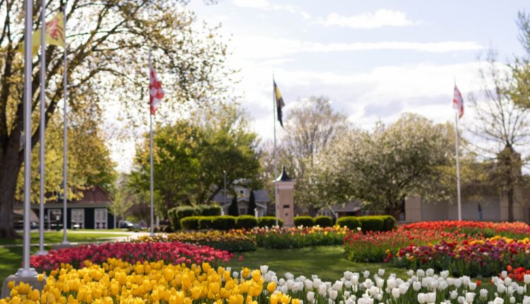 Iowa in bloom: 10 flower festivals to attend in 2025