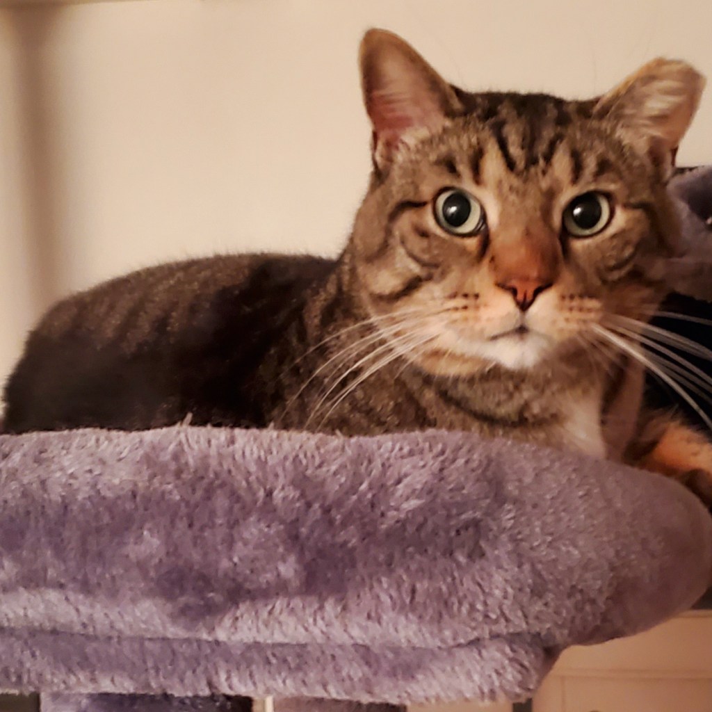 🗣️ ‘Nobody Wants to Live in a State That is Unwelcoming’