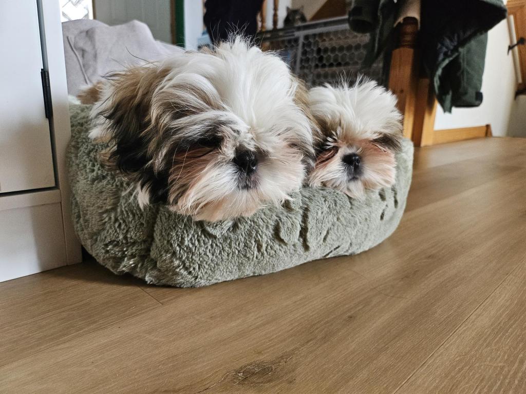 🗣️ ‘Start Doing the Right Thing, Chuck’