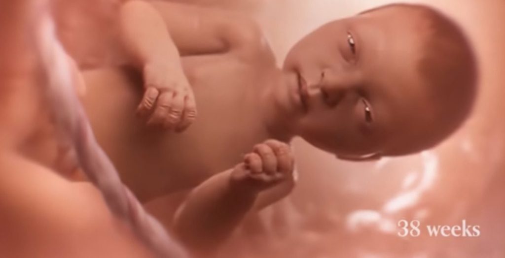 Iowa students will have to watch inaccurate video thanks to Republican lawmakers