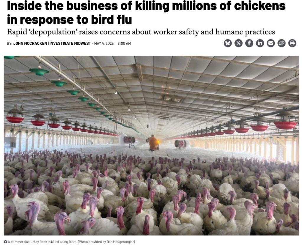 Regents try their own diversity ban. Professors fight it