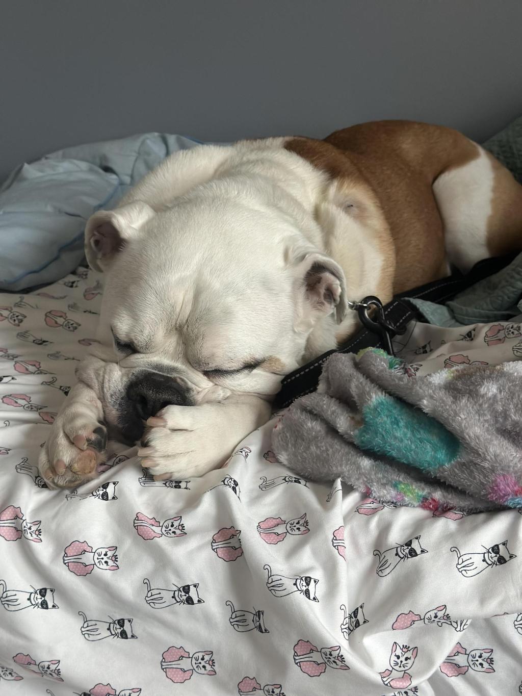 💜 Fairfield photographer wins top prize