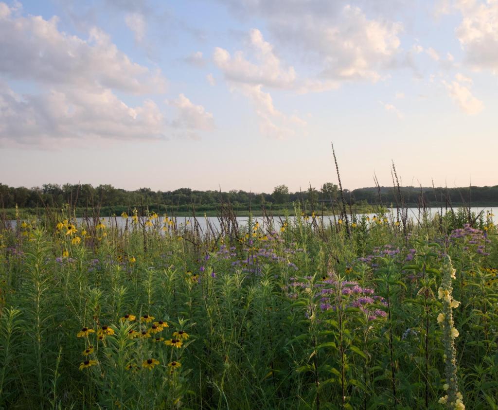🍿 Iowa’s drive-in movie theaters and what they’re showing this summer