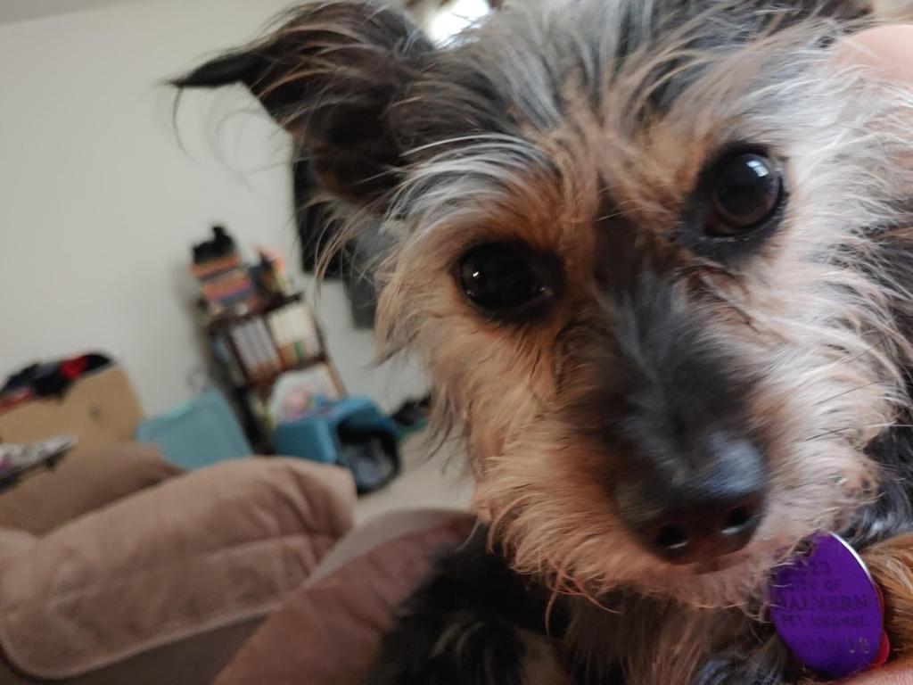 1st West Nile case confirmed in northern Iowa