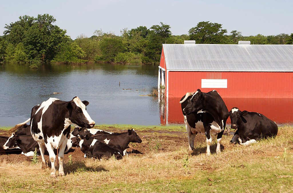 OPINION: Iowans need to stand up to agricultural monopolies for the sake of our water