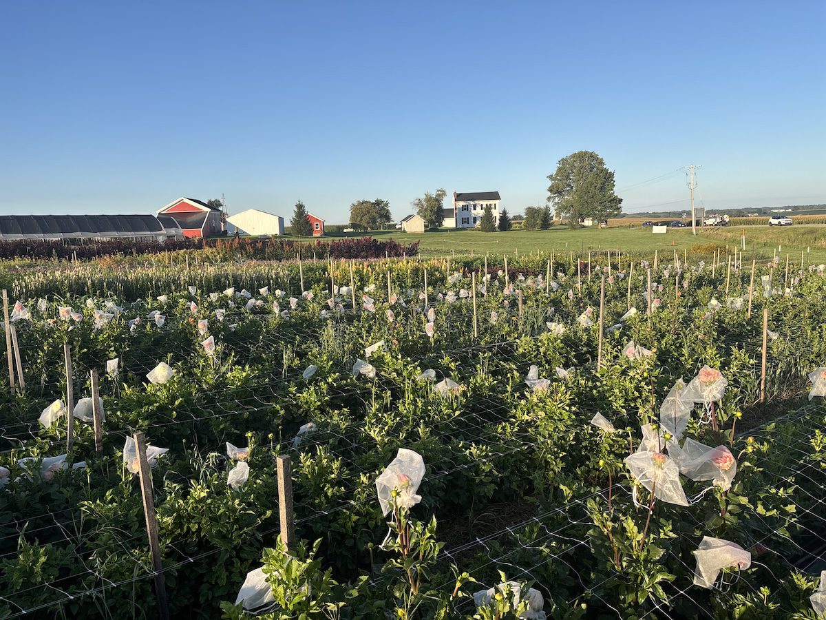 Under the Iowa sun: The work that drives the state’s high skin cancer rates