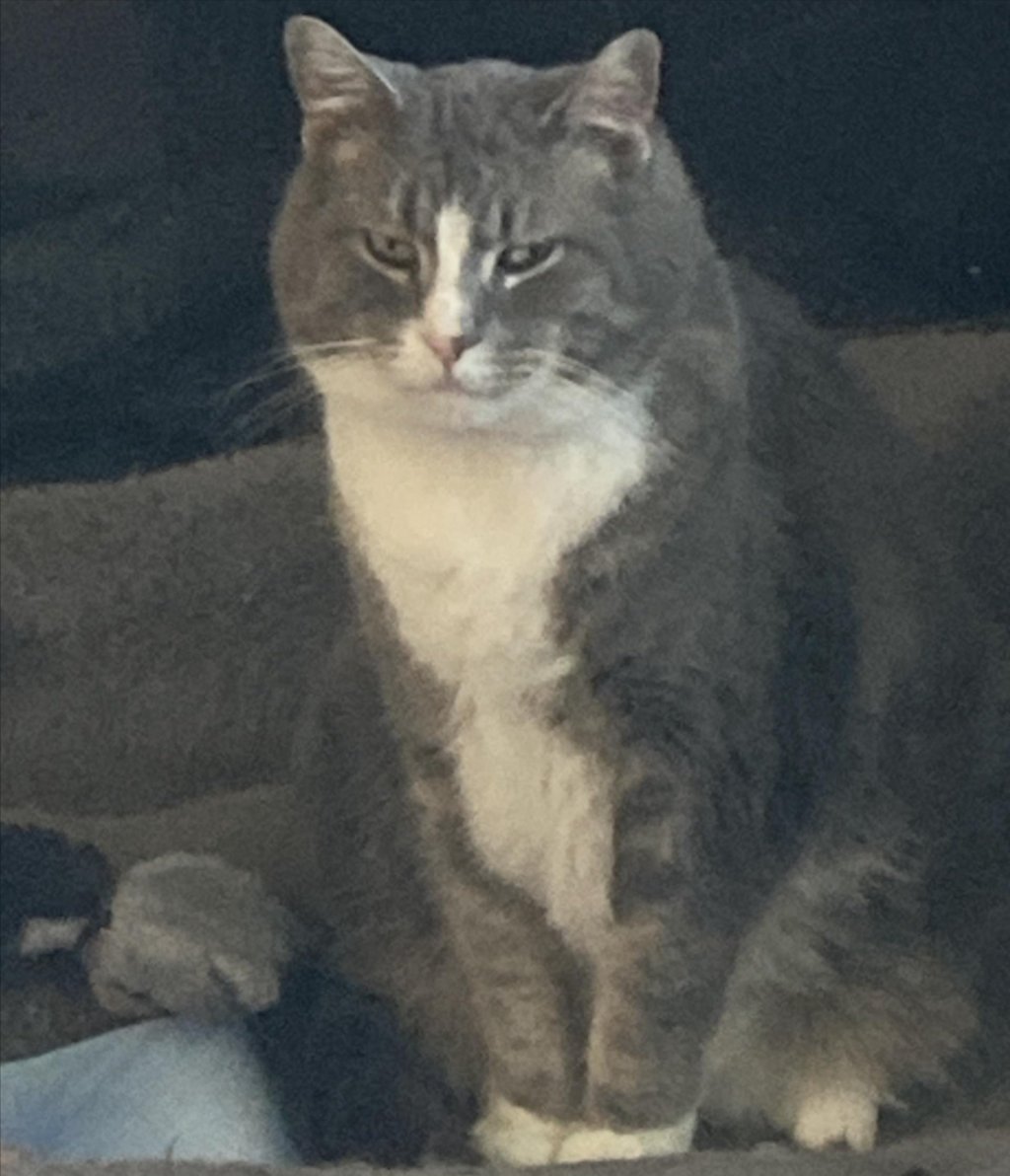 Iowans can’t decide: supreme or meat lovers?