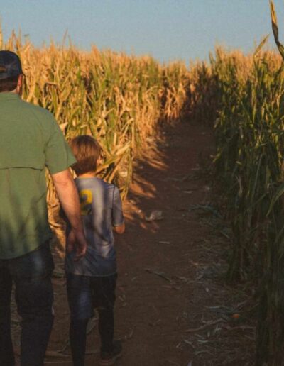 Corn mazes can provide hours of endless fun.